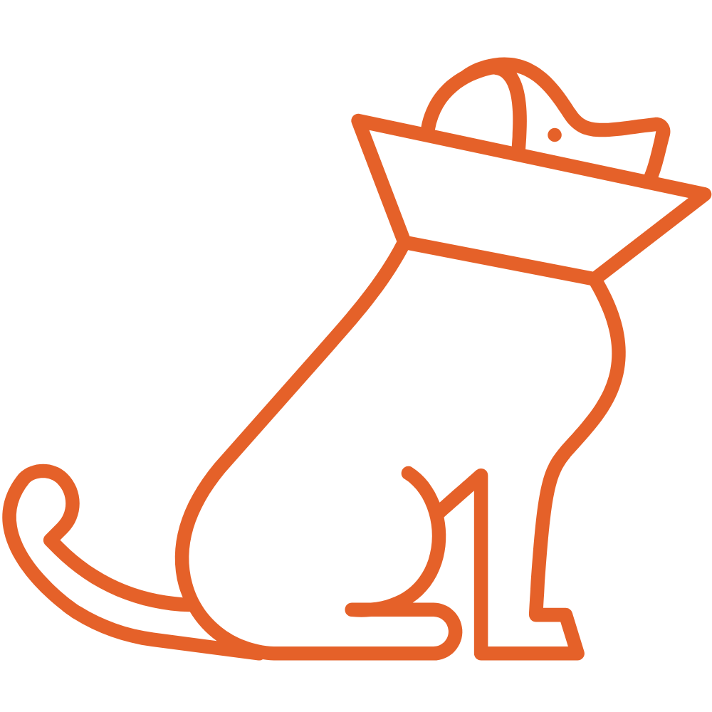 veterinary surgery icon