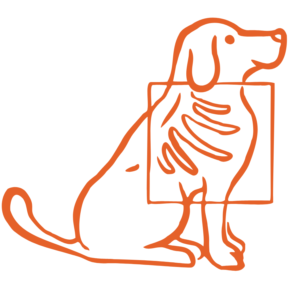 pet medical care icon