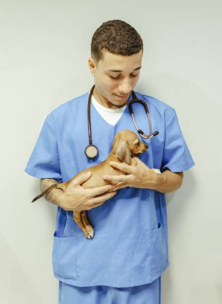 Doctor Holding a Small-Dog