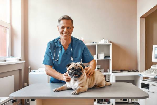 Male Vet Holding Dog
