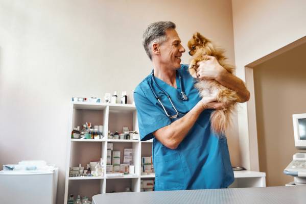 pet-care-concept