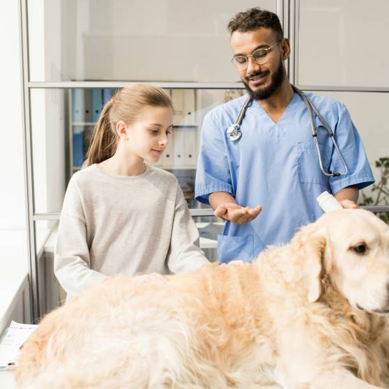 vet explaining medicine instructions to a pet owner